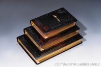 Krolyi and new translation gold gravured, soft covered, embossing, leather Bibles